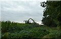 Harvesting maize on the Peddars Way in IP24 2RY