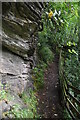 Footpath below Weem Rock in PH15 2LB