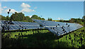 Solar panels near Fermoy's in TQ12 5TN
