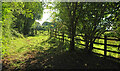 Track and gate near Clannon Farm in TQ12 5TN
