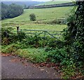 Field gate in Mynydd-bach, Monmouthshire in NP16 6RW