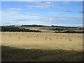 Field of bales near Rodshill in AB53 8RH