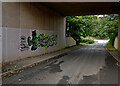 Graffiti art on a bridge on Lenwood Road under the A39 in EX39 3NJ