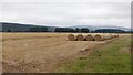 Round bales, Dipple in IV32 7QA