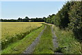 Footpath towards Creeting Bottom in IP6 9TH