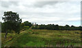 Farm track and grazing, Nether Longford in EH55 8HY