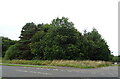 Woodland beside the B7015, Kirkton in EH54 7GG