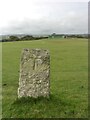 Old Boundary Marker on the boundary of the Tavistock Cricket Club on Whitchurch Down in PL19 9AG