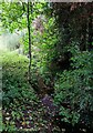 Stream near A449 road, Torton, Kidderminster, Worcs in DY10 4HX