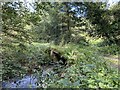Farm track and bridge over stream in SA33 6NH
