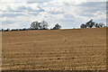 Ploughed field in TN26 1ER