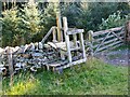 Stile at Traquair Plantation in TD7 5LX