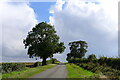 The road from Walcot to Folkingham in NG34 0SR
