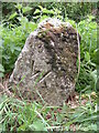 Old Boundary Marker on the B3357 near Moorshop in PL19 9JX