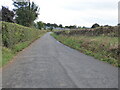 Country road near Shirenewton in NP16 6AQ