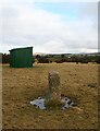 Old Boundary Marker on Tavistock golf course, Whitchurch parish in PL19 9EL