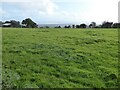 Farmland at Earlswood Common in NP16 6SB