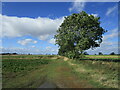 Farm track off Plot Lane, South Scarle in South Scarle