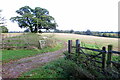 Bridleway towards the airfield in Old Warden
