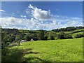View over Pen y Gaer farm from the hillfort in SA33 6NH