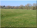 Meadows beside the Cowage Brook, Hilmarton, Wilts in SN11 9HN