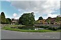 Urchfont: The Village Pond in Wiltshire