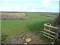 Pastoral view near Eastcott in EX23 9PP