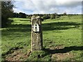 Cotswold Way (just under) halfway marker post in GL6 6NF