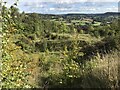 View over old quarry in GL6 6PF