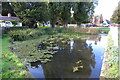 Northill village pond in SG18 9AA