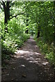 Bridleway, Dunstan's Wood in CT4 7EU