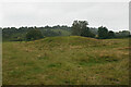 Tumulus, Cock Marsh, Cookham in SL8 5RG