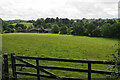 Field above Brook Farm in DE55 7LX