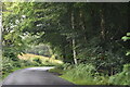 National Cycleroute 7, south of Loch Tay in FK21 8SR