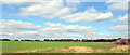 A field seen from Common Drift, Gressenhall in NR20 4ER