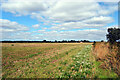 A field by Chapel Lane, Beetley in NR20 4DE