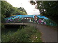 Murals on the Werrington underpass at Cuckoo's Hollow in PE4 6RU