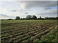 Tilled field off Hall Meadow Road in PE6 8ER