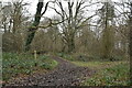 Footpath, Gold Hill Woods in TN14 7UE