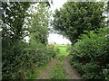 Field access off Higher Westholme Road in BA4 4NY