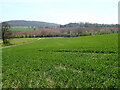 Herefordshire farmland in HR2 8DA