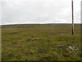 Moorland rising towards Druim nam Fuath in IV23 2QZ