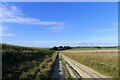 The Wessex Ridgeway path approaching Manor Farm in SN8 1RE
