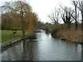 River Yare, Old Lakenham in NR1 2NQ