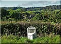 Milestone by Derby Road south of Wirksworth in DE4 4BG
