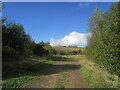 Track and landscaped spoil heap, Pleasley Pit Country Park in NG19 7QL