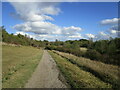 Path in Pleasley Pit Country Park in NG19 7QL