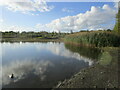 Lake in Pleasley Pit Country Park in NG19 7QL
