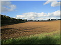 Prepared field near New Houghton in NG19 8BY