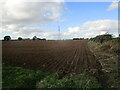 Prepared field, Longman Nook in S44 5QA
